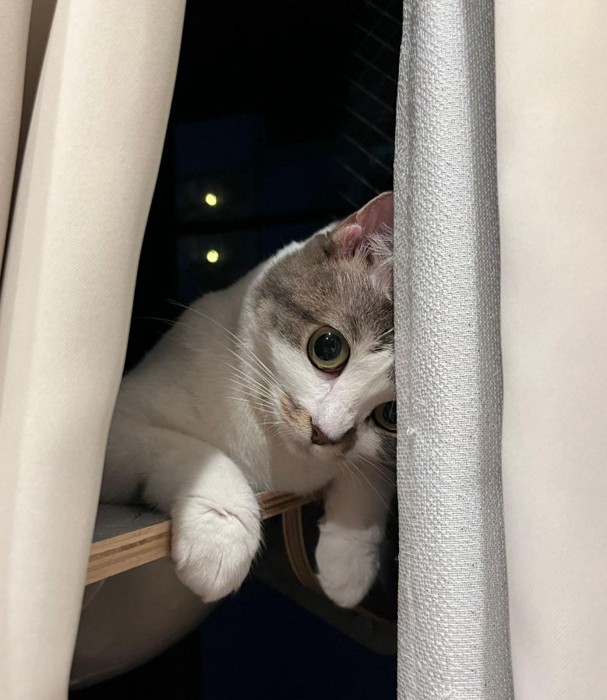 くつろぐノリスちゃん