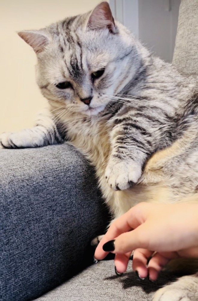 ソファにもたれて寛ぐジェネッタ