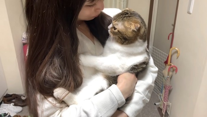 抱っこされる猫
