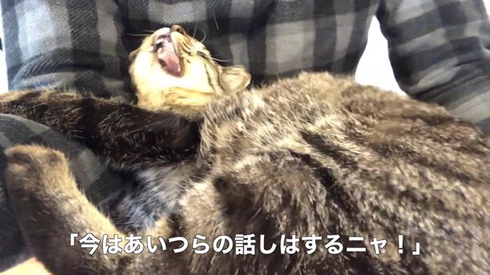 あいつらの話はするニャ!