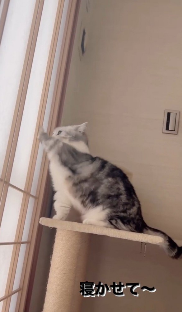 「寝かせて」と書かれた写真