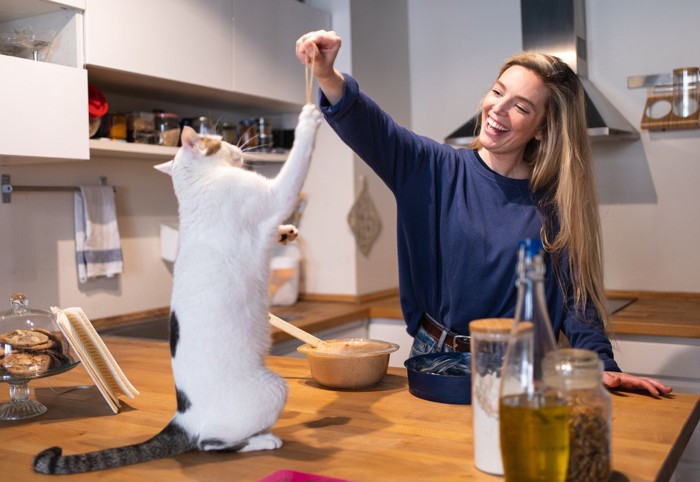 キッチンで猫と遊ぶ女性