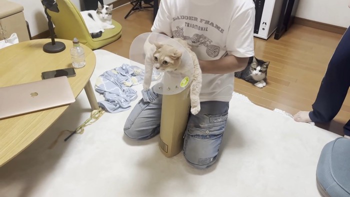 段ボールにIN