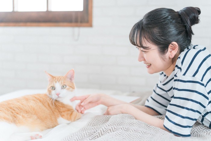 猫と戯れる日本人女性