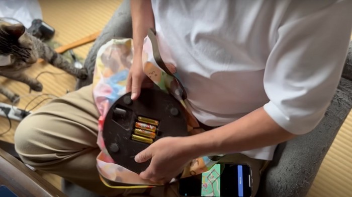 おもちゃの電池を入れ替える人とその様子を見つめる猫