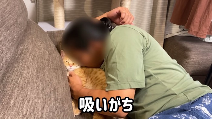猫吸いをする人