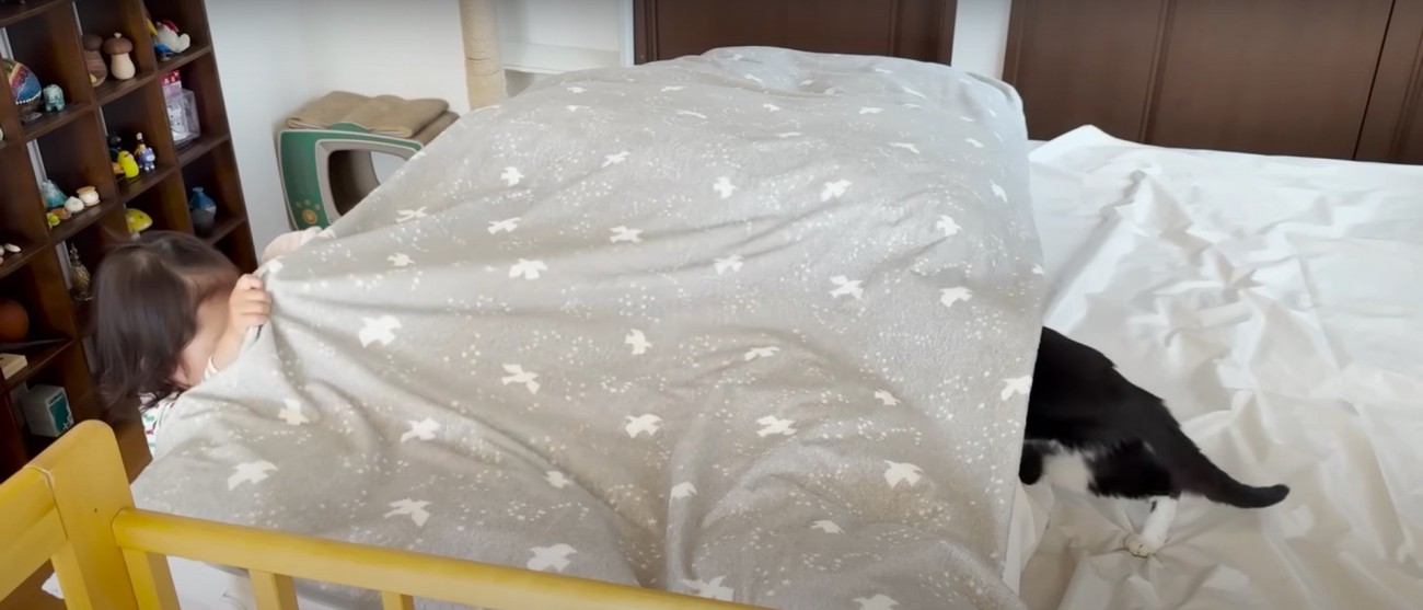 あいさつを交わす子どもと猫