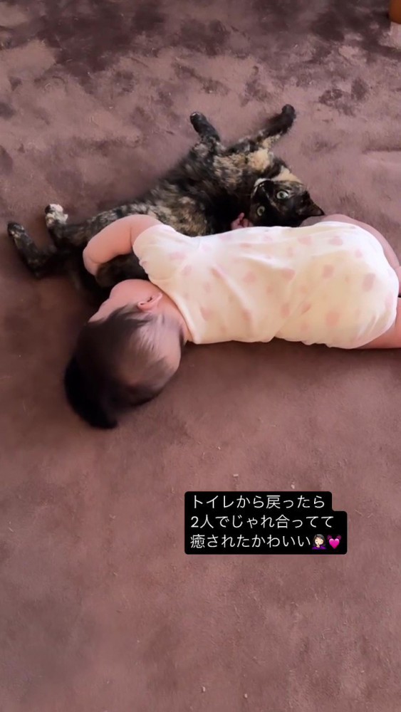 寝ている赤ちゃんと猫