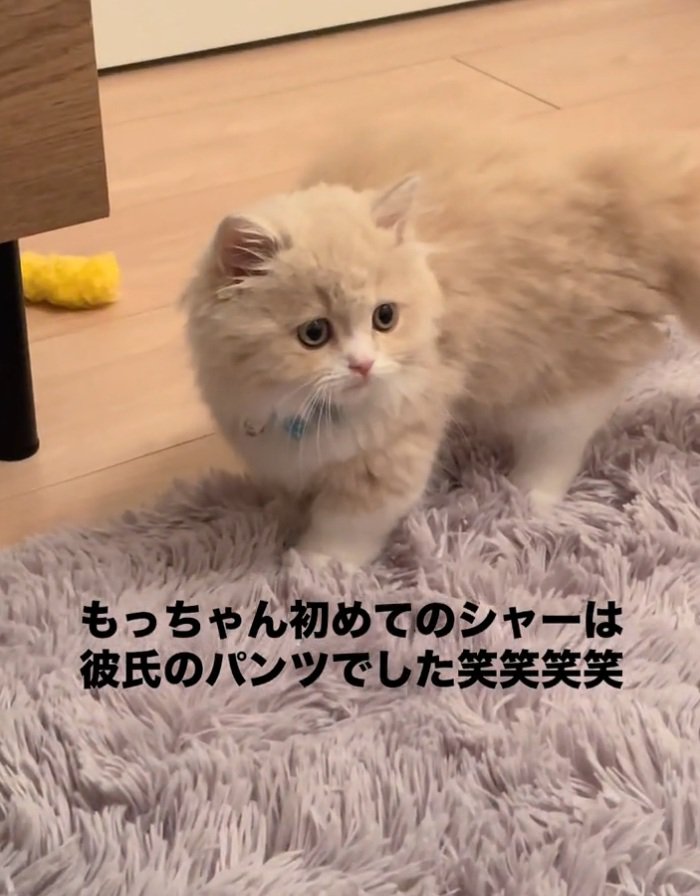 何かを見つめるもなかくん