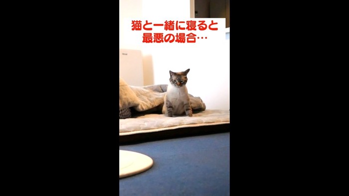 身を起こした姿