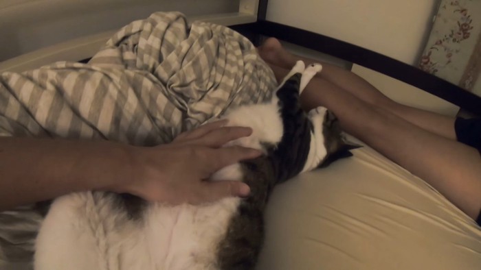 お腹をなでなで