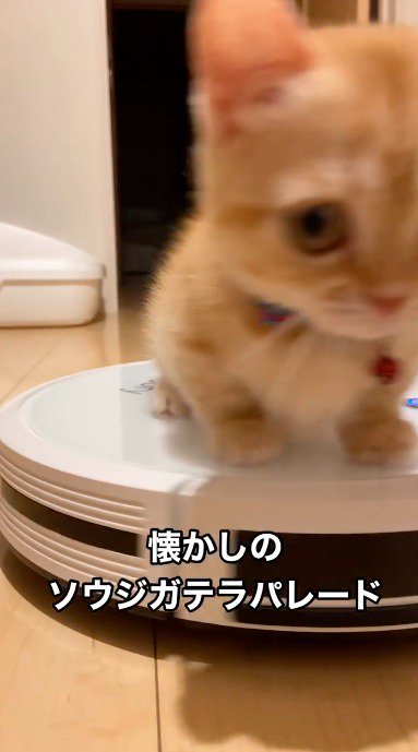 カメラの前で方向転換するロボット掃除機