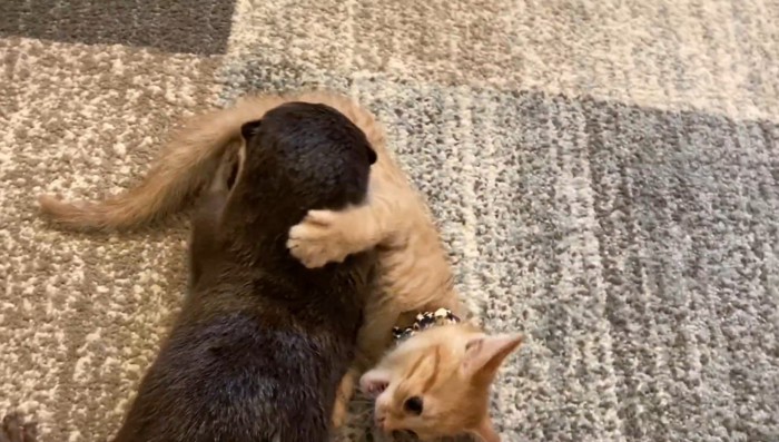 床でじゃれ合い