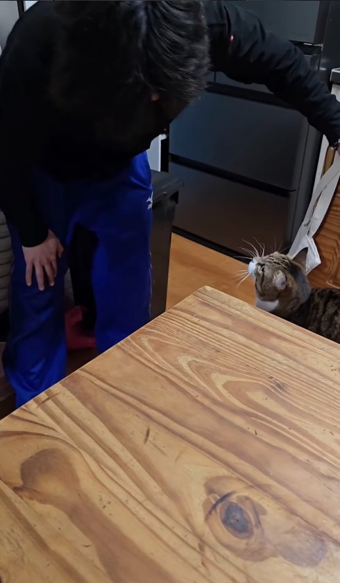 うつむく子供を見つめる猫