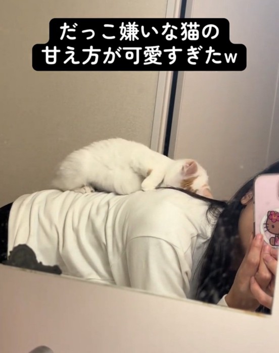 顔をこすりつける猫