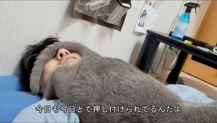 猫が顔の上に乗った状態でしゃべる飼い主