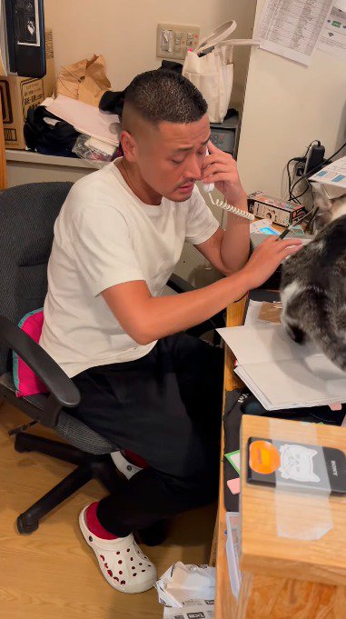 ノートの上から退く猫