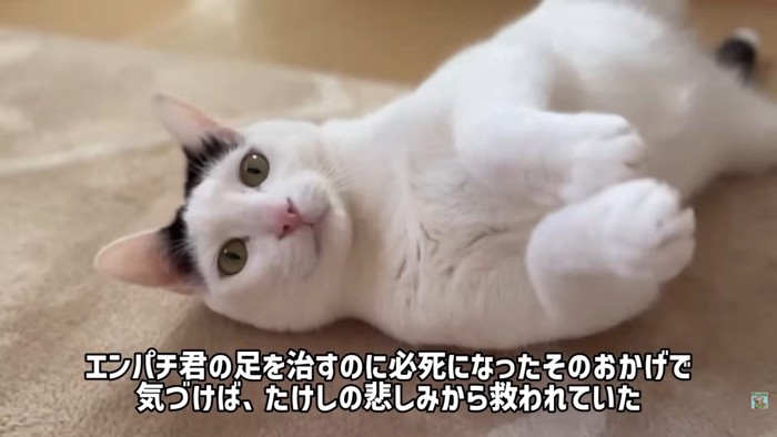 テロップ「エンパチ君の足を~」