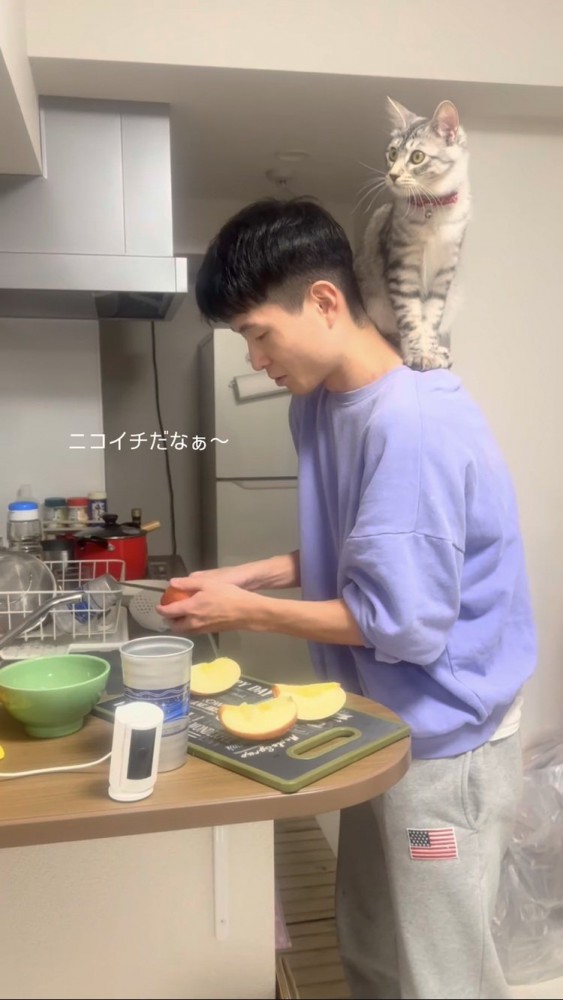 パパの肩の上に乗る保護猫