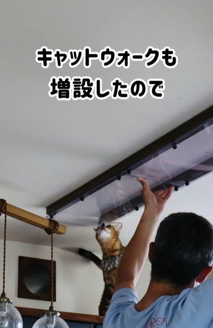 キャットウォークの取り付け