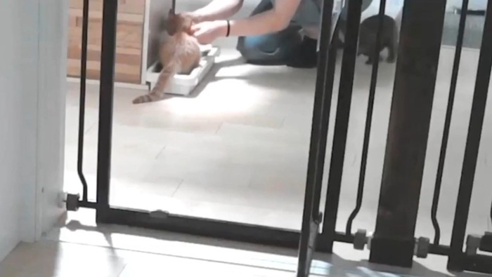 もちくんをなでなで