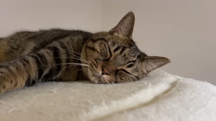 眠る姿