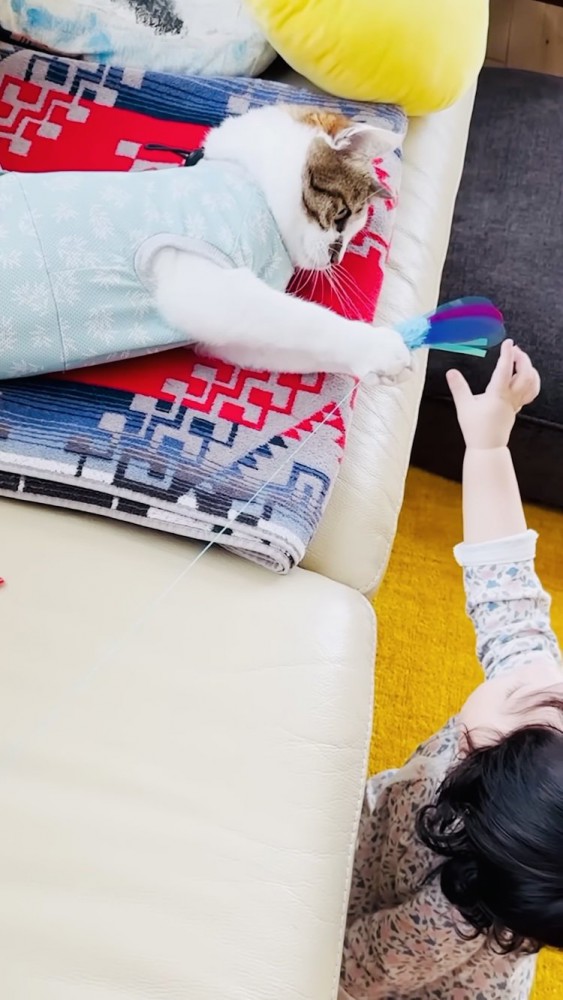 おもちゃを掴むキジ白猫とおもちゃに手を伸ばす赤ちゃん