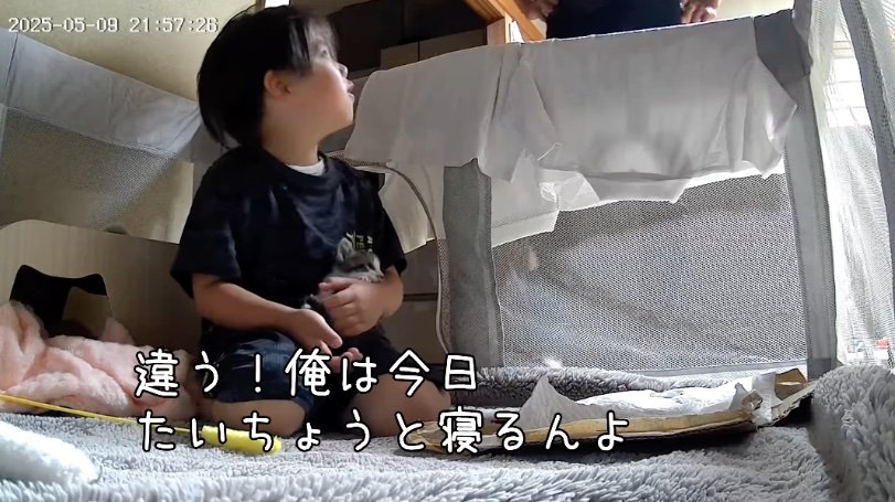 「今日は一緒に寝る」