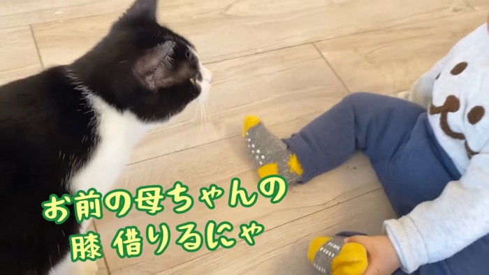 テロップ「お前の母ちゃんの～」