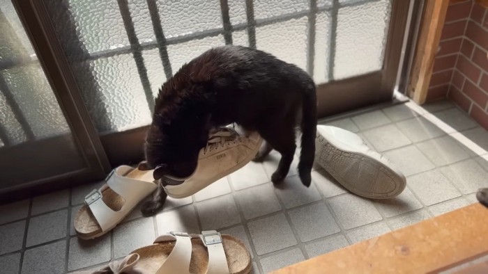 靴を持ち上げた姿