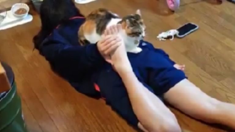 ストレッチ中の女性と猫