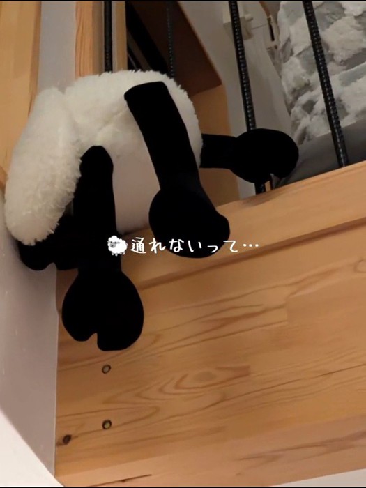 柵に引っかかる羊のぬいぐるみ