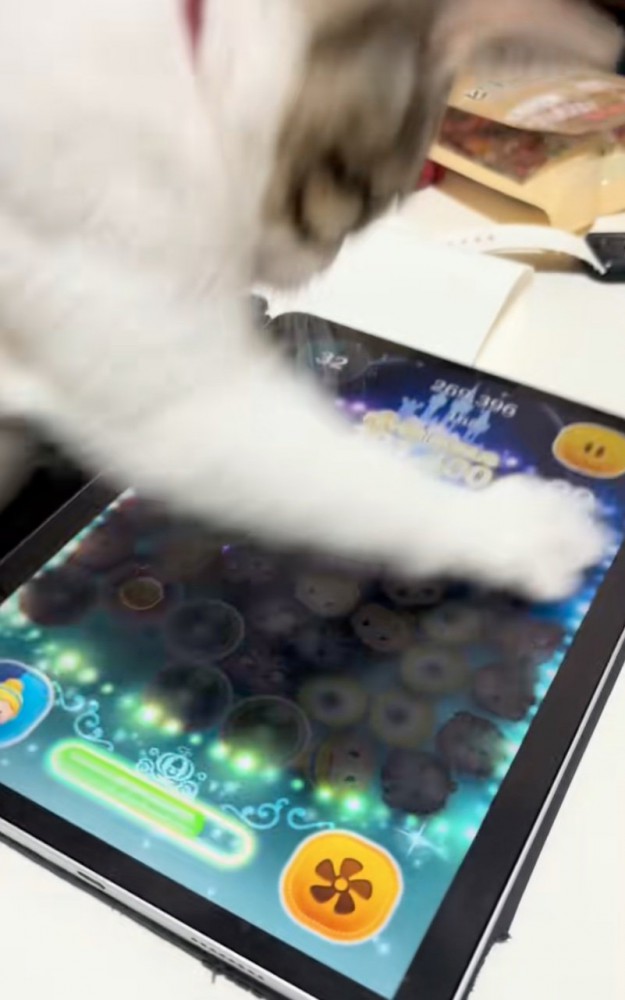 画面が少し暗くなる