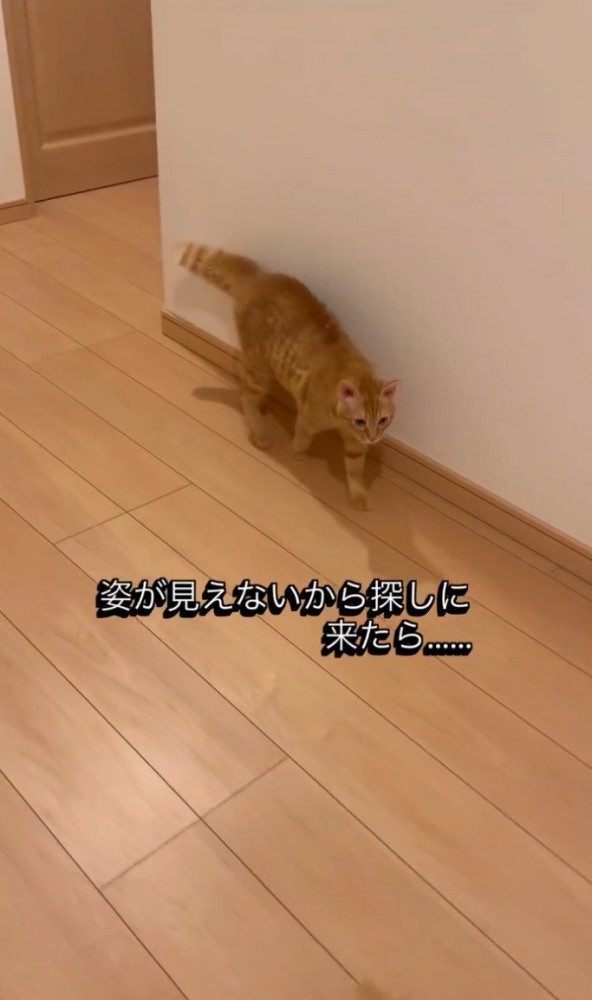 「姿が見えないから…」と書かれた写真