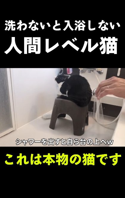 湯加減は?