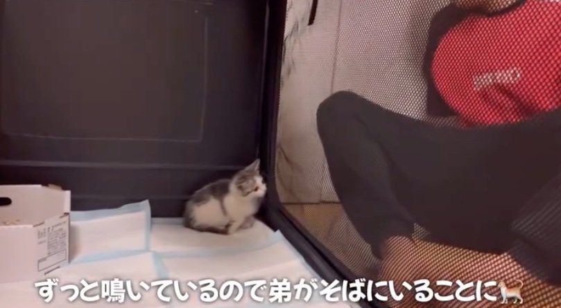 隣に腰を下ろす