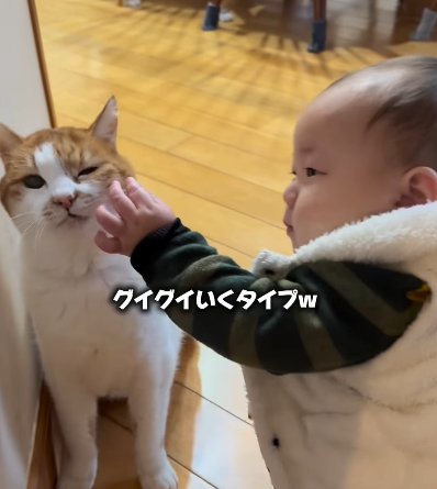左手で猫の髭を触ろうとする赤ちゃん(グイグイいくタイプw)
