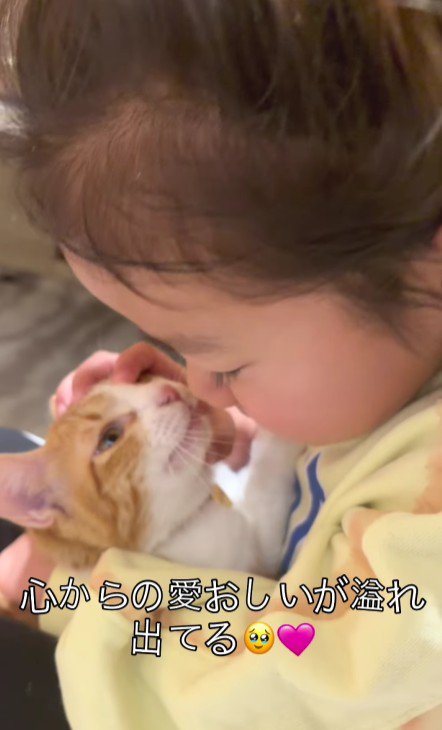 子猫を抱く女の子