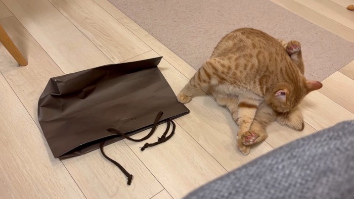 毛づくろい