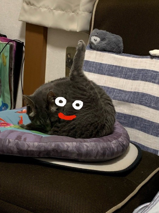 猫にスライムの落書きがしてある写真(引き)