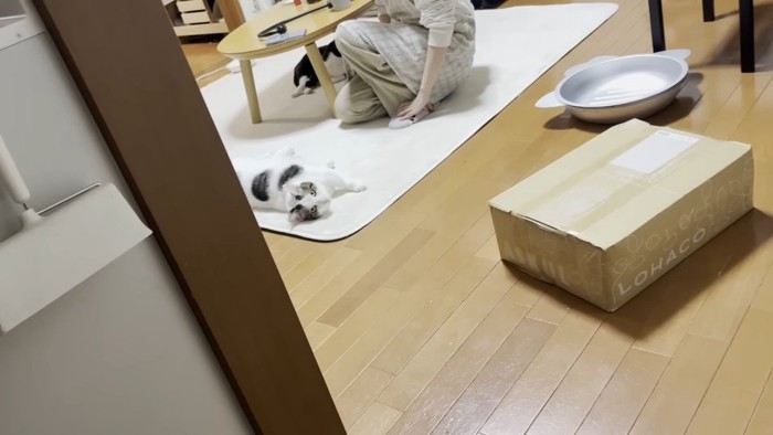 豆大福くんとママさん