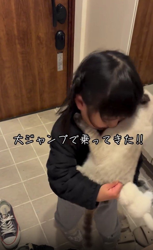 抱っこされてもがく猫