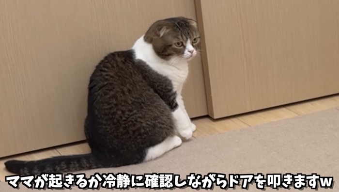 冷静に確認しながら