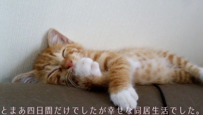 幸せな同居期間でした