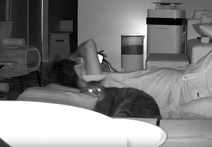 猫と寝転がっている飼い主