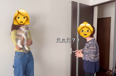 猫を抱っこする女性とおばあちゃん