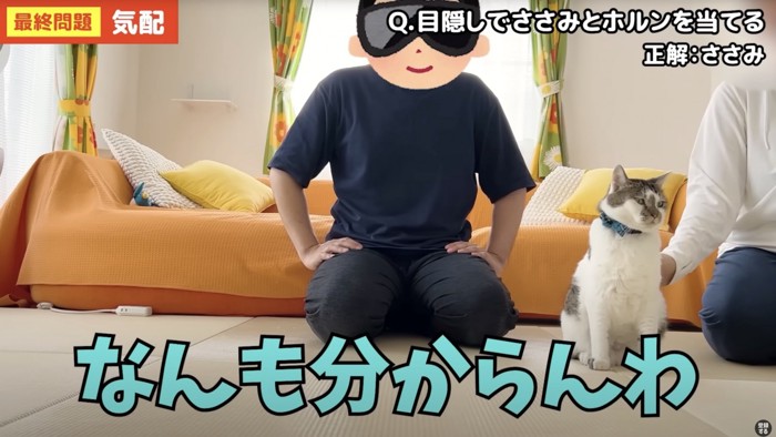 猫と並んで「なんも分からんわ」という男性