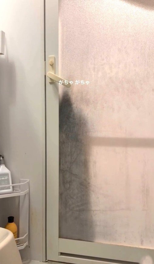 ドアを開けようとする猫