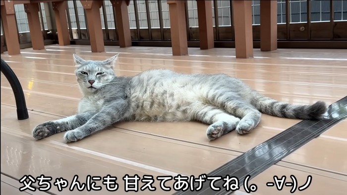 テロップ「父ちゃんにも～」