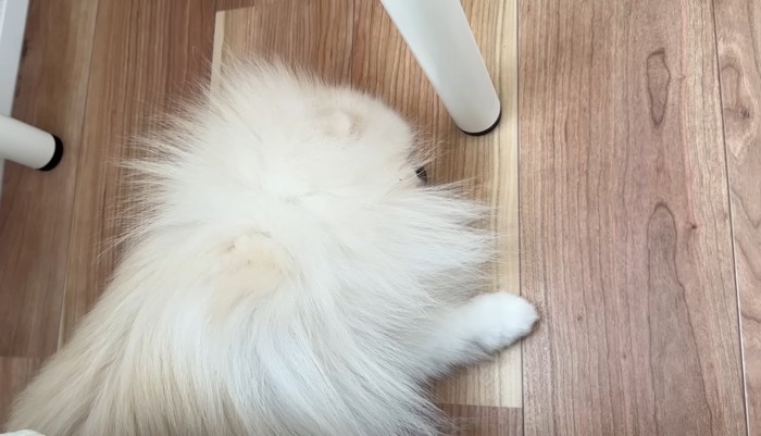 眠るポテチくん